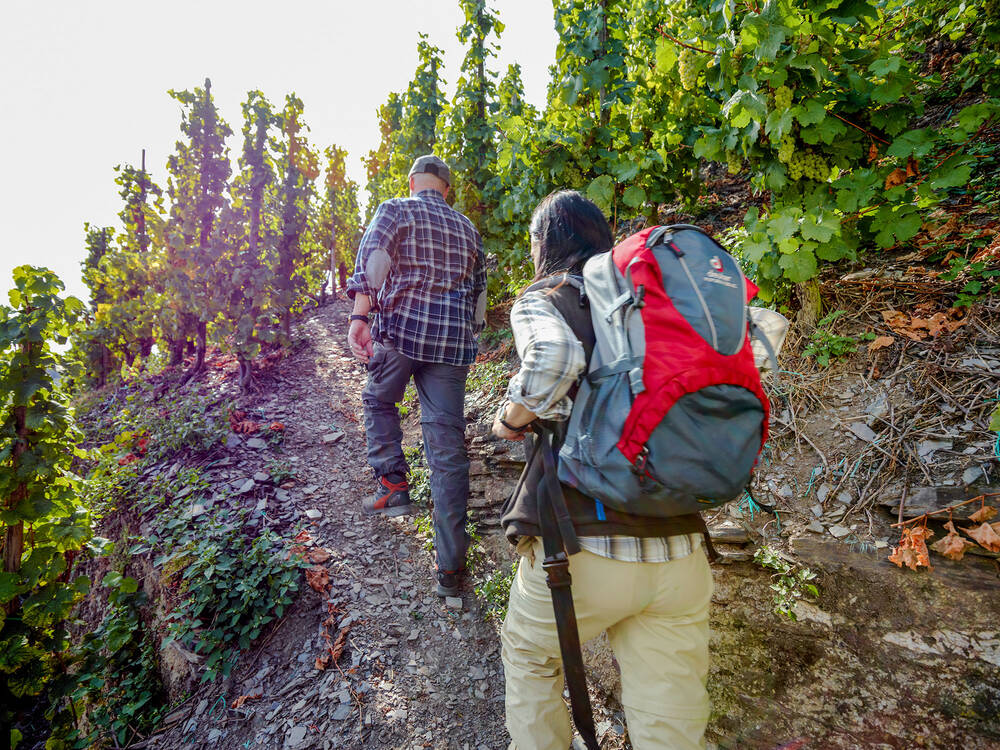 Ein Mann und eine Frau gehen einen unbefestigten Weg im Weinberg hinauf. Beide tragen Wanderkleidung und die Frau hat einen großen Wanderrucksack auf dem Rücken.