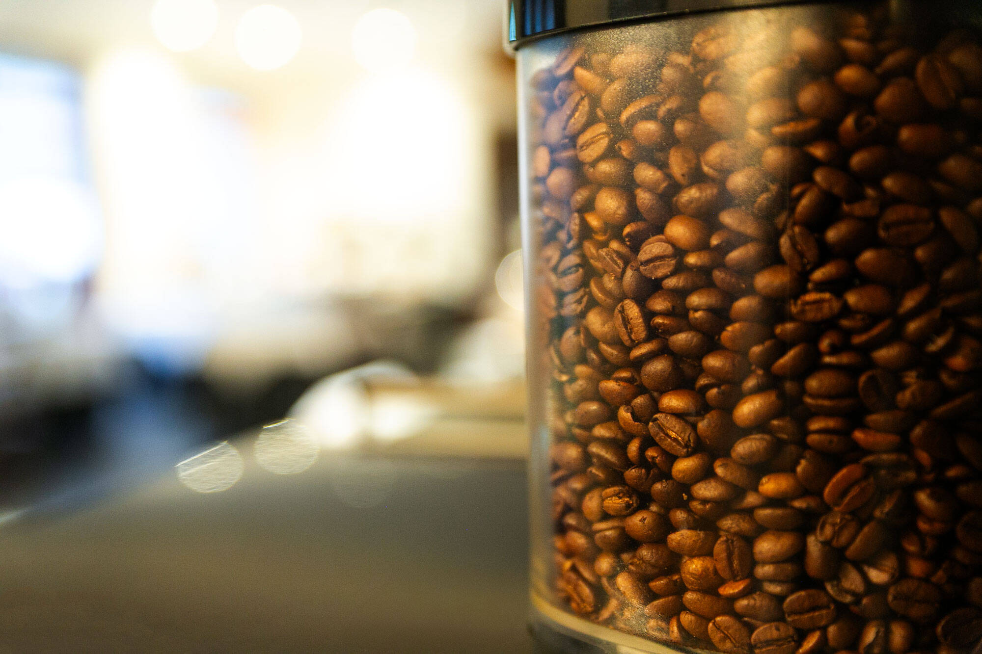 In einem Behälter sind Kaffeebohnen sichtbar, die frisch und ungemahlen sind.