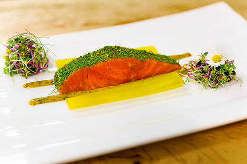 Ein großes Stück Lachs mit einer Panade aus Dill liegt auf zwei Soßen, garniert auf einem weißen Teller. Zur Dekoration befinden sich je ein Haufen Kresse links und rechts auf dem Teller.