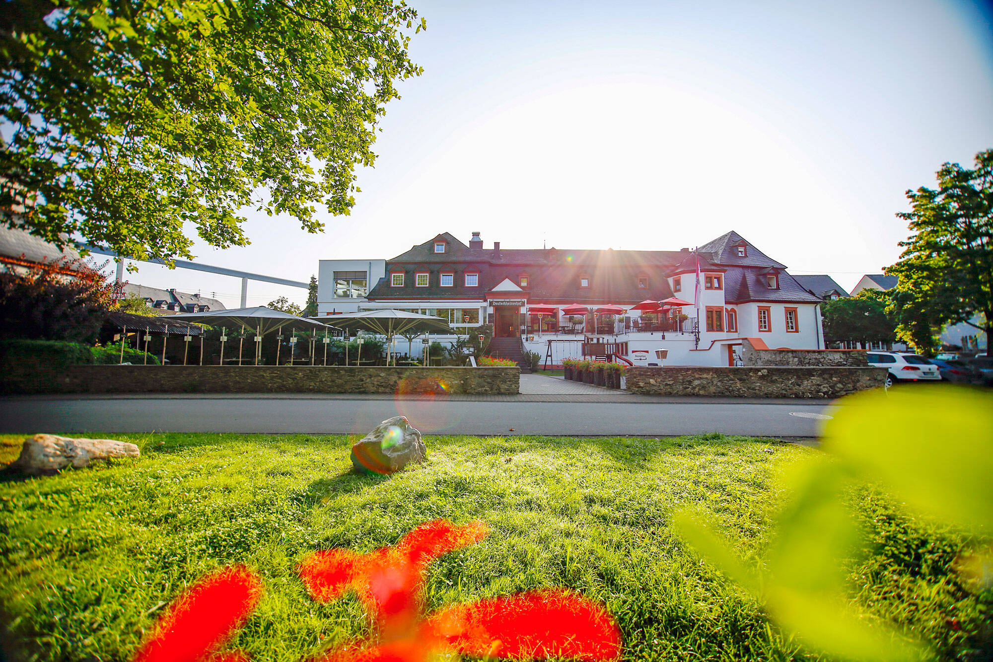 Der Deutschherrenhof ist frontal von vorne zu sehen. Im Vordergrund liegt eine Wiese, aus der einige Blüten ins Bild ragen. Die Sonne geht hinter dem Gebäude auf und taucht die Szene in warmes Licht. Der Himmel ist strahlend blau. In der linken Ferne ist die Hochmoselbrücke zu erkennen.