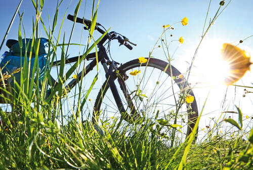 Ein Fahrrad steht inmitten einer Wiese. Die Sonne scheint vom blauen Himmel durch die Grashalme und taucht die Szene in warmes Licht.