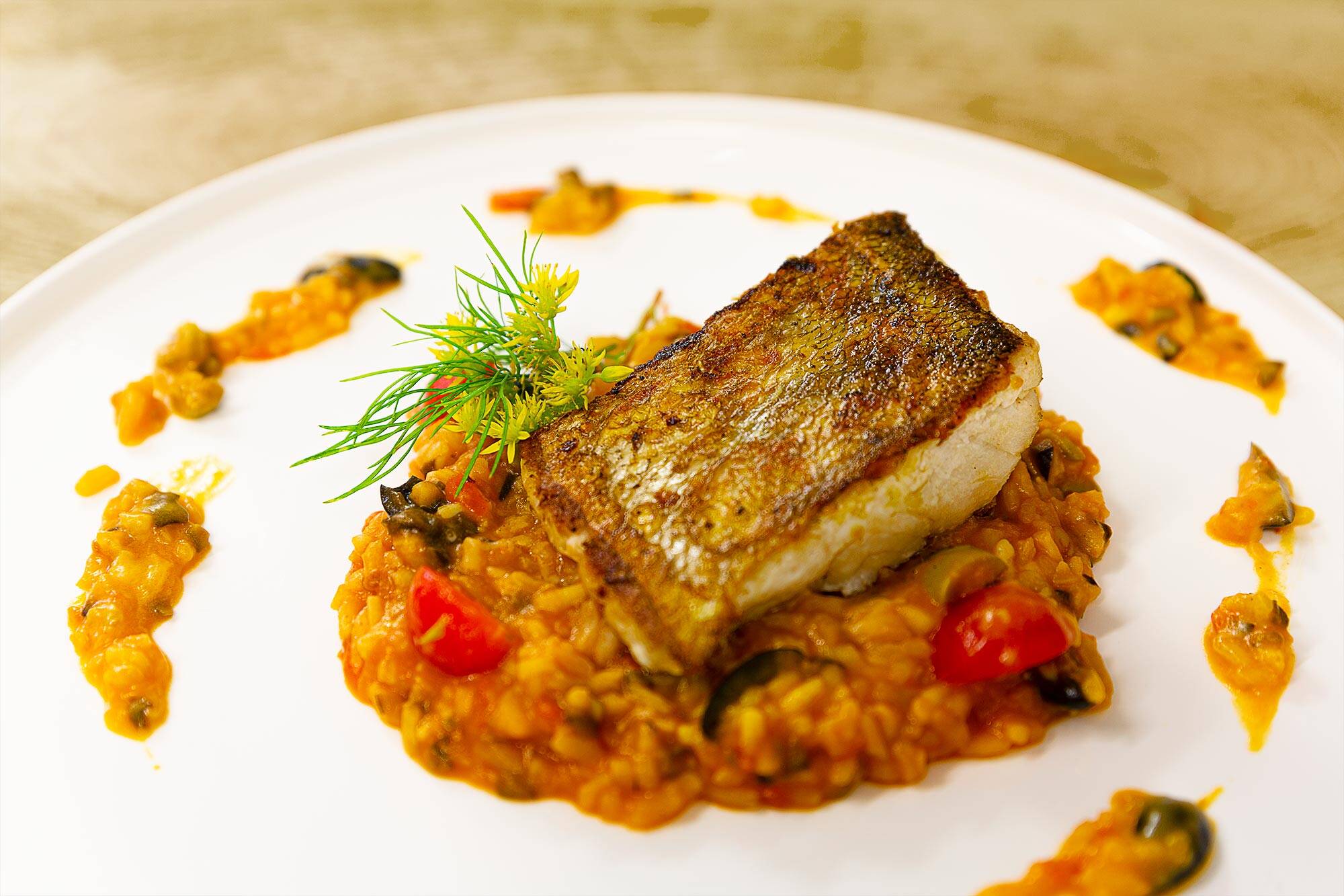Zanderfilet liegt auf einem Risotto, fein angerichtet auf einem weißen Teller, mit Dekorationen aus Soße.
