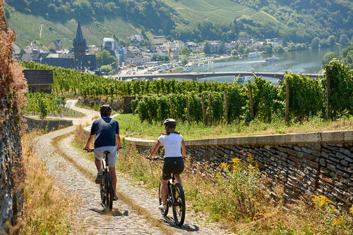 Zwei Personen fahren mit dem Fahrrad einen gepflasterten Weg in den Weinbergen hinunter. Im Hintergrund sind Bernkastel-Kues und die Mosel zu sehen.