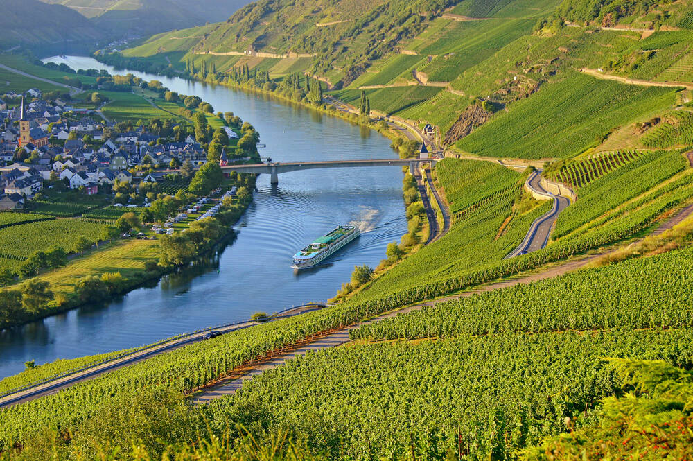 Ein Schiff fährt auf der Mosel bei Trittenheim. Auf der linken Moselseite ist der Weinort zu sehen, während die Weinberge auf der rechten Seite von der Sonne angestrahlt werden.