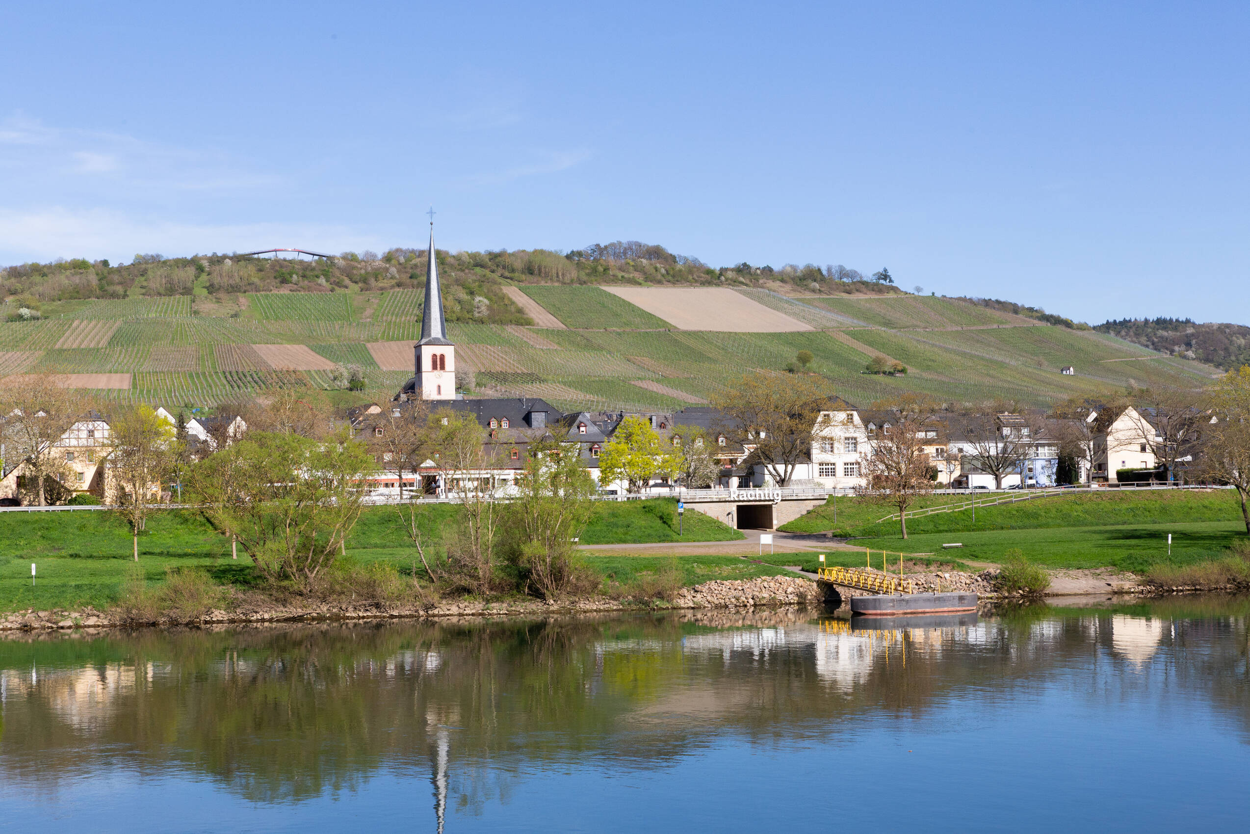 Blick über die Mosel Richtung Rachtig.