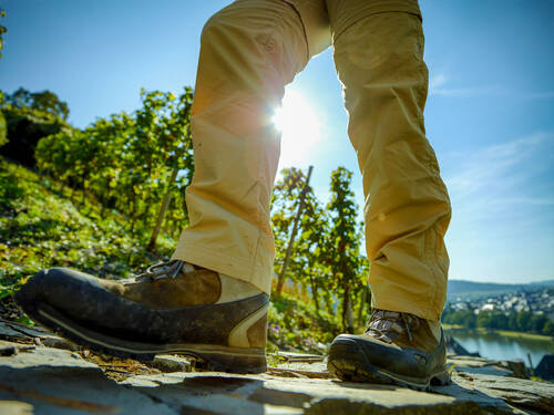 Eine Person wandert in Wanderschuhen einen Weg in den Weinbergen hinauf, das Sonnenlicht fällt durch die Beine.