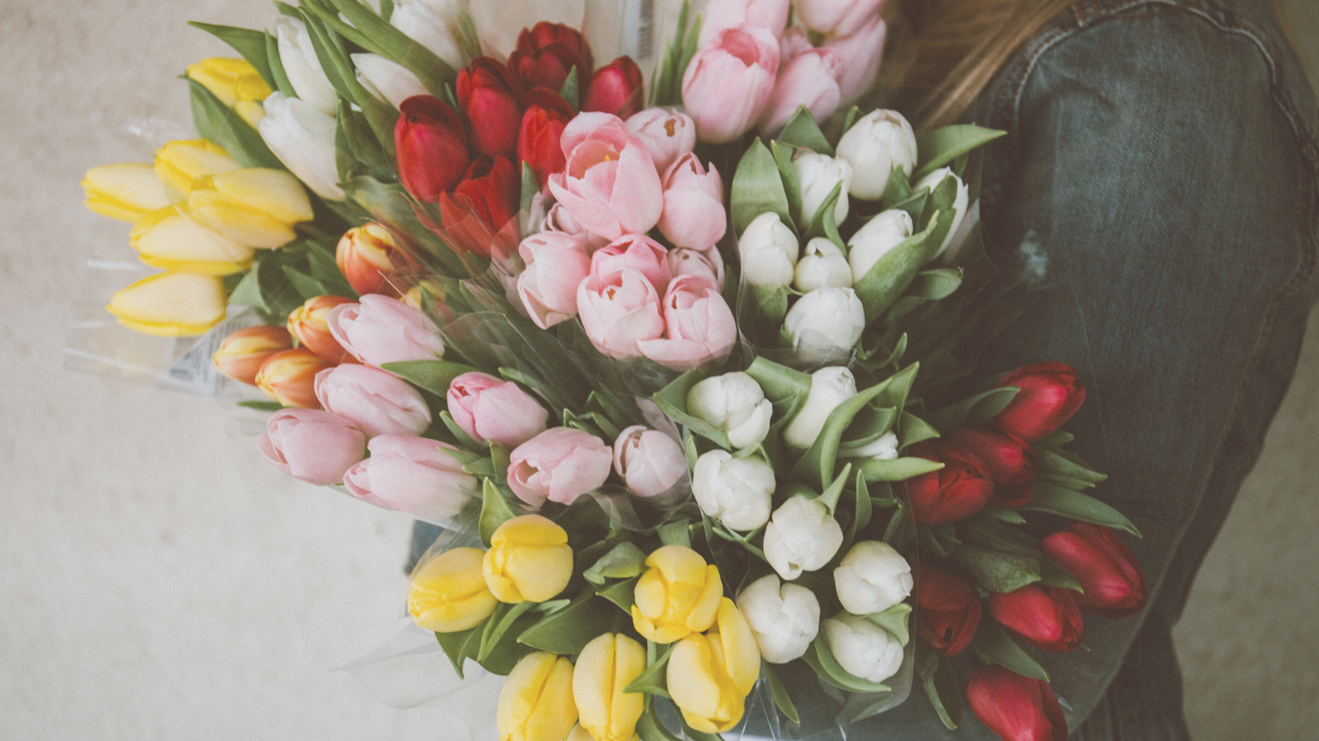 Eine junge Frau hält mehrere bunte Tulpensträuße in den Händen.