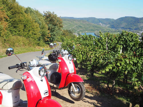 Zwei rote Motorroller, die an einem Weinberg geparkt wurden.