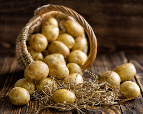 Ein Korb voller frischer Kartoffeln liegt auf einem Holzbrett. Vor dem Korb sind weitere Kartoffeln auf etwas Stroh verteilt.