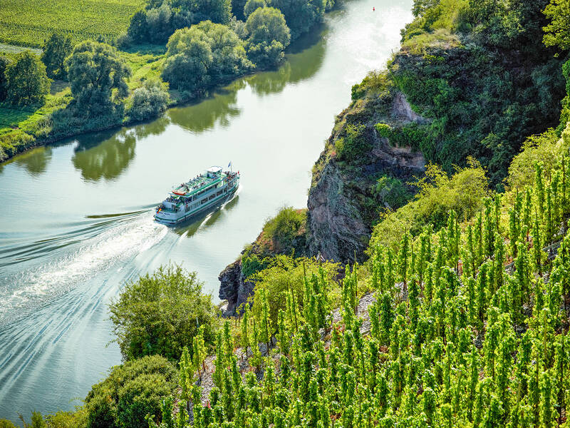 Blick vom Erdener Klettersteig auf die Mosel. Ein Schiff fährt auf dem Fluss. Im Vordergrund sind grüne Weinberge und Felsen zu sehen.
